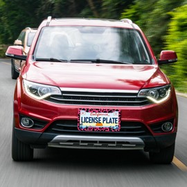 HCSS Pink Leopard Print License Plate Frames - 2 Pack Cheetah Print Hot Pink License Plate Holder, Stainless Steel Rust-Proof Waterproof Car Decorative Tag Frame for Standard US 12x6 Inch