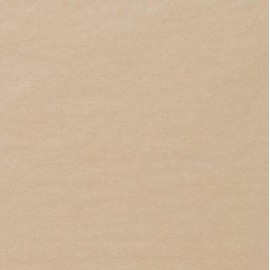 Paper Mart Matte Khaki Tissue Paper, Bulk Quantity of 480 Sheets, Colored Tissue Paper for Gift Bags and Crafts, 20 x 30 Inch Sheets