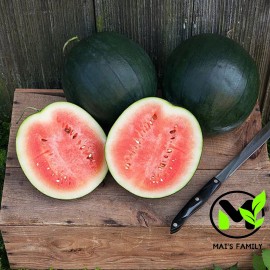 Mai's Family Sugar Baby Watermelon Seeds - Heirloom - 250