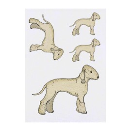 4 x 'Bedlington Terrier' Temporary Tattoos - Water Resistant, Skin-Safe, Non-Toxic Transfers, Mixed Sizes (TO00085870)