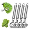 4 Pack Cactus Peeler Tool, Multi-Function Cactus Peeler Spoon, Stainless
