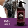 Black Canyon Dr Black Scented Argan Oil Hair Shampoo, 16