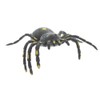 Kandytoys 6.5 inch Tar Spider With Beans - Assorted