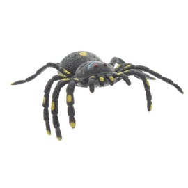 Kandytoys 6.5 inch Tar Spider With Beans - Assorted