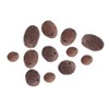 Clay Pebble, Wacent Hydroponic Clay Pebbles Grow Media Anion Clay