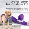 ThinkPet No Pull Harness Breathable Sport Harness with Handle-Dog Harnesses