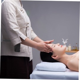 WOONEKY Massage Bottle Storage Bag Essential Oil Waist Bag Masseur Storage Box Bottle Case