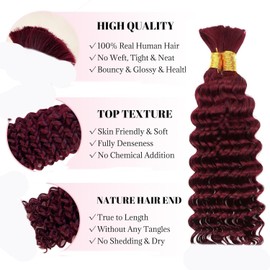 Burgundy Braiding Hair 100g Deep Wave 4 Bundle Bulk Human Hair for Braiding Deep Curly 100% Remy Human Hair Extensions for Boho Curly Wave Braids 99J Red Braiding Hair (22 Inch)