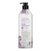 Kerasys Champú Perfume 20.3 fl oz / 20.3 fl oz