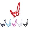 NETPROSHOP Foal Halter 3-Way Adjustable for Foals Falabella Shetty Pony