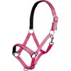 Hkm Headcollar with Stars Softice, Soft Lining