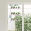 Kuahome 3-Tier Acrylic Window Wall Hanging Clear Plant Shelves for