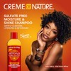 Shampoo con Aceite de Argán Creme of Nature 355ml