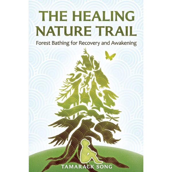 The Healing Nature Trail: Forest Bathing for Recovery and Awakening