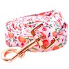 Lionheart glory Strong Dog Leash Pink Peach Girl Durable Dog