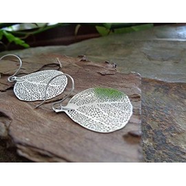 Coral branch and stainless steel hooks so delicate, light earrings, leaf, coral, coral branch, branch, anti-allergic