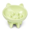 CHASKER Ceramic Slow Feeder Bowl, Elevated Slow Feeder, Wide-Mouth, PAW