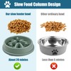 2 Pack Anti-Gulping Bowl Dog, Anti-Gulping Bowl for Dogs, Slow