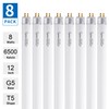 Wesome Lighting 8 Pack 12 Inch F8T5/DL Fluorescent Light Bulb,