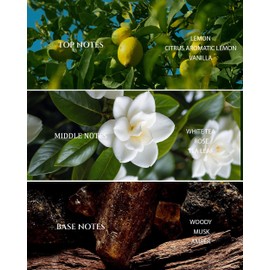 Aromadd Aromadd Hotel Scents Diffuser Oil White Tea, Luxury Essential Oils for Waterless Diffuser, Aromatherapy Hotel Diffuser Oil for Home & Office, Long-Lasting Air Freshener - 6.76 Fl Oz, 200 ML