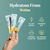 Sea Moss Electrolyte Powder Packets Melon Watermelon Flavor, Natural Hydration
