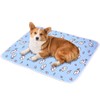 Pet Cooling Mat - Waterproof Pad Cat Cooling Sleeping Blanket