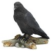 Raven Crow Figurine Corvus Corax Ravens Crows Sculpture Statue Hand
