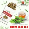 GUAVA LEAF TEA 2.47 Oz (70g) VIETFARMFOOD: 100% Pure Convection