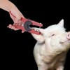 Red Steel Livestock Veterinary Ear Tag Plier Puncher Pig Cow