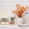 HJLLOQR Thanksgiving Picture Frame 4x6, Fall Pumpkin Maple Leaf Photo