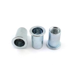 10 x Blind Rivet Nuts M10 Flat Round Head Rivet Nut Rivet Nut Galvanised Steel