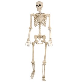 Halloween Posable Life Size Skeleton, 5FT – Life-Size Full Body Realistic Bones with Movable Joints, Fully Poseable Indoor & Outdoor, Halloween Party Outdoor Haunted House Decoration