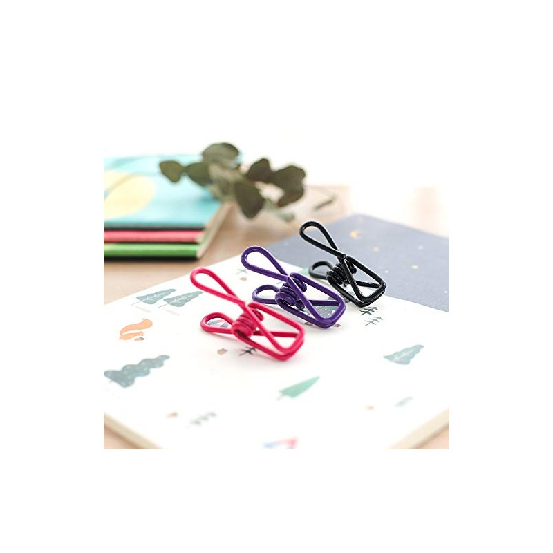 Clips,10 PCS Assorted Clips Utility - PVC 2Inch,Clip for Laundry