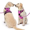 NESTROAD Rose Red Dog Vest Harness, No Pull Adjustable Harness