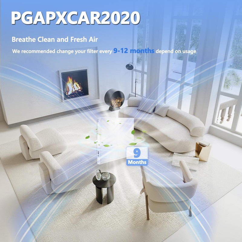 PGAPXCAR2020 Air Filter Replacement, Pack of 1 PGAPXCAR2020 Filter Replacement