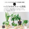 Tokyo Juen Nutritional Agent Growing Energized by Ion Power, Ion