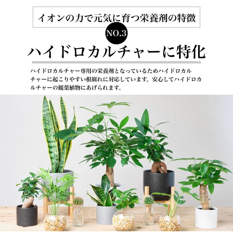 Tokyo Juen Nutritional Agent Growing Energized by Ion Power, Ion