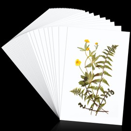 30 Pcs Blotting Paper for Flower Press Large A4 Flower Press Paper Blotter Paper Highly Absorbent Reusable Paper Refill Lining Paper for Art Craft Scrapbook Making, 11.81 x 7.87 Inches