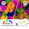 DAYBETTER 20 Pack LED Lights, Vintage LED Edison Bulbs 60