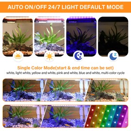 hygger Smart Aquarium Starter Kit, Glass Fish Tank with 24/7 Mode Light, Heater, Water Pump, Filter Media, Auto Feeder,Water Changer, Cleaning Tool, Fishing Net,Timer Automatic Switch (6 Gallon)