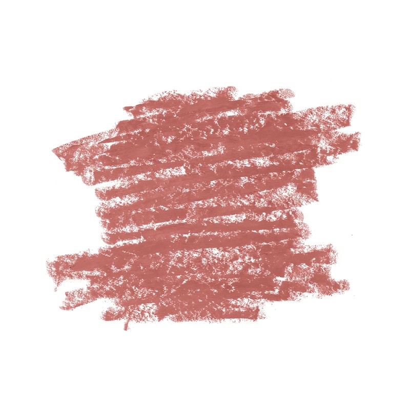 Diego Dalla Palma Lip Contour Kit Rossetto+Matita 501 Nude