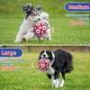 Diman Dog Toys Ball, Interactive Dog Toys for Tug of