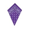 Underground Kulture Purple Bandana Paisley Scarf (Purple Bandana), Violet, UK