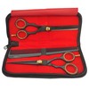 Professional Hairdressing Scissors, Japanese Stainless Steel Salon Scissors - 16.5