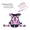 Petmolico No Pull Dog Harness and Leash Set, No Choke