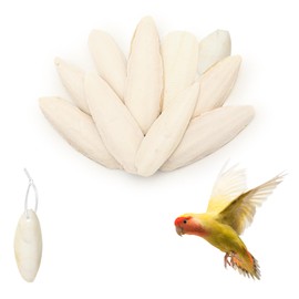 XIANGLONGY 10 Pieces Cuttlefish Bone, Natural Cuttlefish for Birds, 3.15-4.33 Inches, Suitable for Providing Calcium for Pets such as Birds, Turtles, Snails and Reptiles