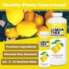 TPS NUTRIENTS Lemon Tree Fertilizer for Lemon Trees and Citrus,