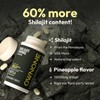 OWNONE SHILAJIT 500MG Chewable Tablets | Athletic Performance Support |
