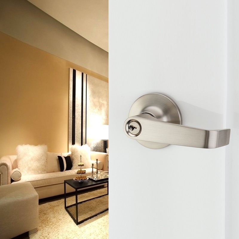 HAIFUAN Lever Door Handle Lock, for Use of Entry, Passage,
