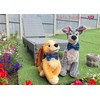 New Dogs Bow Tie Tartan woven Elastic Band attach COLLAR